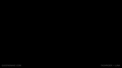 24703